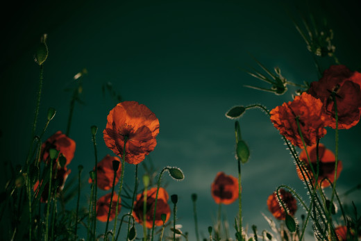 1757763 (a): :5829x3886